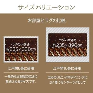 ラグ 長方形 約235×390cm 洗える 撥...の詳細画像4