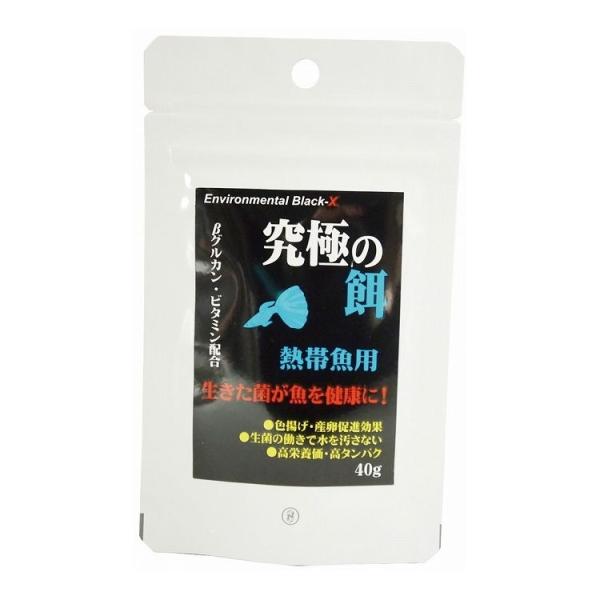 B-blast 究極の餌 熱帯魚用 40g 日本製 国産 観賞魚 アクアリウム 熱帯魚用フード