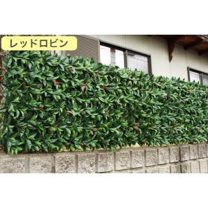 リアルグリーンフェンス 1m×1m ボックスウ...の詳細画像4