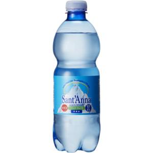サンタンナ イタリアアルプス天然水 炭酸 500ml×24本 
