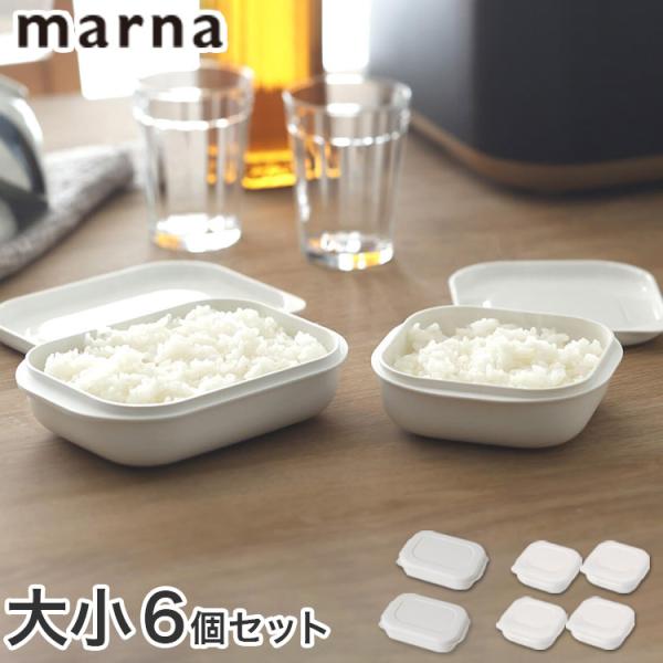 スターターセット マーナ 極 冷凍ごはん容器 大小6個セット 一膳分×4個 大盛サイズ×2個 ごはん...