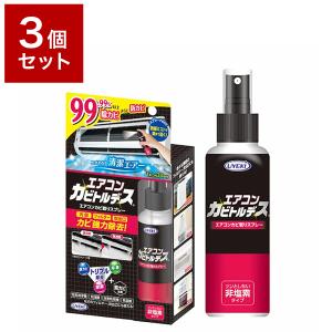 3個セット UYEKI ウエキ エアコンカビトルデス 100mlカビ取り剤 カビとり カビ取り スプレー カビ汚れ 掃除グッズ 掃除用品｜rcmdhl