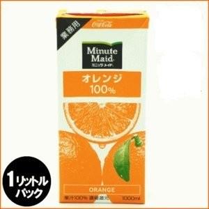コカ・コーラ　（コカコーラ） ミニッツメイド オレンジ 100%　1L紙パック×12(6×2)本入 代引不可