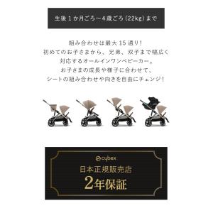 正規販売店 ガゼルS+シートユニット セット ...の詳細画像1