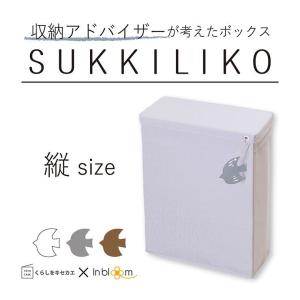 スッキリコ ボックス縦 幅15cm 奥行き33cm 高さ45cm 収納ボックス カラーボックス カラボ 収納ボックス カラーボックス カラボ 代引不可｜rcmdin