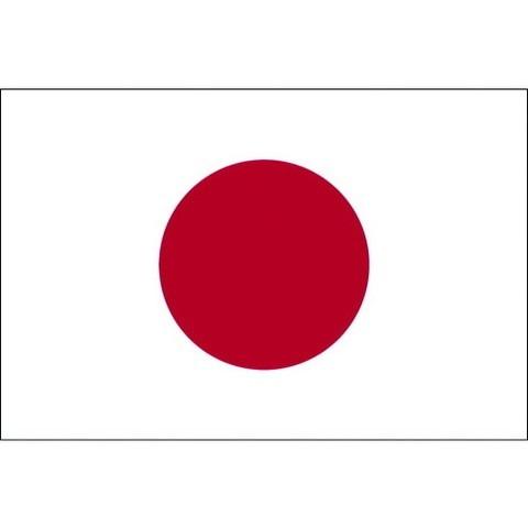 東京製旗 国旗No.1 70×105cm 日ノ丸 10160 代引不可