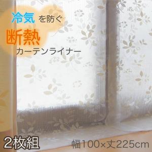 ビニールカーテン 断熱 100×225cm 防...の詳細画像2