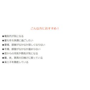 ビニールカーテン 断熱 100×225cm 防...の詳細画像3