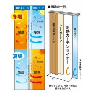 ビニールカーテン 断熱 100×225cm 防...の詳細画像5