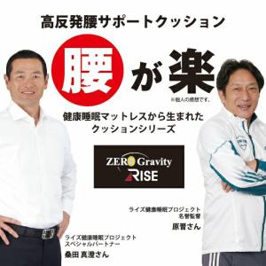 ファイバー 腰サポートクッション 腰が楽 ライ...の詳細画像1