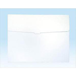 作品収納ケース 白無地 大 美術 図工 工作 用品 作品 収納 段ボール 子供 キッズ 絵画 水彩 作品入れ 幼稚園 保育園 小学校 Atc ルーペスタジオ 通販 Yahoo ショッピング