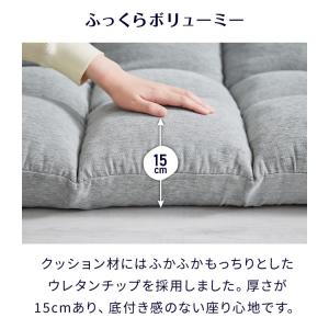 Braille リクライニングソファ 42段 ...の詳細画像5