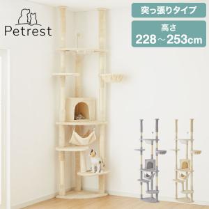 キャティーマン 猫タワー 突っ張り型 ドギーマン モダンルーム