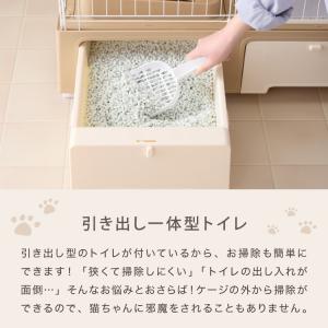 リコメン堂限定オリジナルカラー 2色 猫 ケー...の詳細画像2