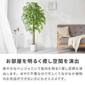 フェイクグリーン おしゃれ ベンジャミン 天然...の詳細画像3