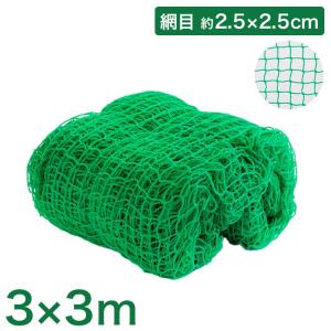 リコメン堂 バックネット 野球 10×10m 網目2.5cm グリーン 防球ネット