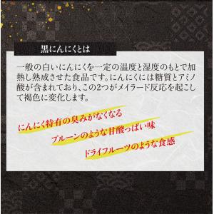 黒にんにく発酵器 黒ニンニク 発酵メーカー 黒...の詳細画像5
