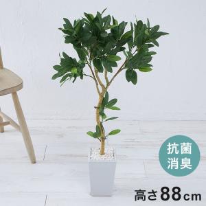 フェイクグリーン オリーブツリー 約88cm 抗菌 消臭 観葉植物 フェイク 光触媒 人工観葉植物 インテリア おしゃれ 鉢 植木 葉 枝 木 室内 玄関 代引不可｜rcmdin