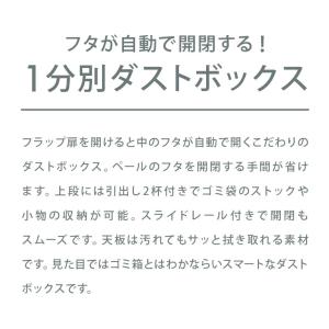 ゴミ箱 隠す収納 キッチンカウンター 1分別 ...の詳細画像1