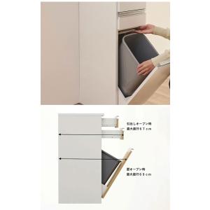 ゴミ箱 隠す収納 キッチンカウンター 1分別 ...の詳細画像3