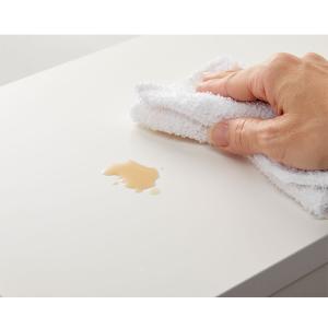 ゴミ箱 隠す収納 キッチンカウンター 1分別 ...の詳細画像5