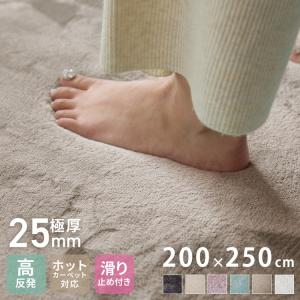 極厚高反発ラグ 200×300cm 極厚25mm 長方形 フランネル 撥水 防音 滑り