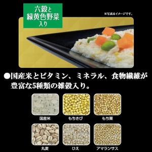 ドギーマン 紗 博多地どり 六穀と緑黄色野菜入...の詳細画像3