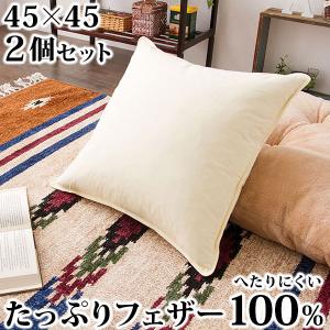 川島織物セルコン クッション中材 60×60cm 日本製 高級 羽根 中材 圧縮