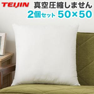日本製 防ダニ 抗菌防臭 背当ヌードクッション 2個セット 50×50cm