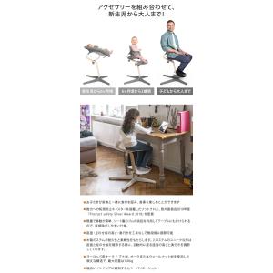 ノミチェアセット プレミアム チェア+ベビーセ...の詳細画像5