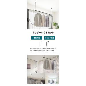 ランドリーバー LB-1 吊りポール2本セット...の詳細画像1