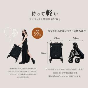 メリオカーボン 2026 メーカー2年保証 正...の詳細画像3