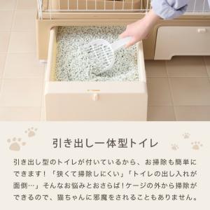 リコメン堂限定オリジナルカラー 2色 猫 ケー...の詳細画像2