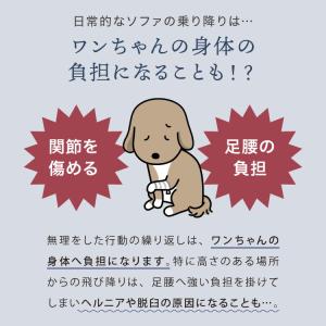 ドッグステップ 2段 スロープ 幅40cm ド...の詳細画像2