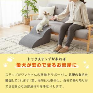 ドッグステップ 2段 スロープ 幅40cm ド...の詳細画像3