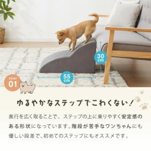 ドッグステップ 2段 スロープ 幅40cm ド...の詳細画像4