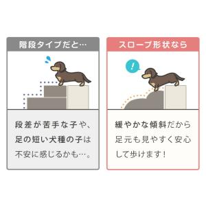 ドッグステップ 2段 スロープ 幅40cm ド...の詳細画像5