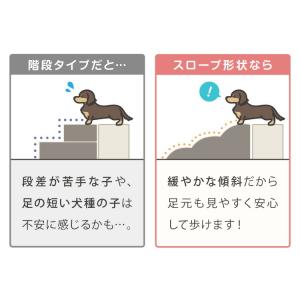 ドッグステップ 3段 スロープ 幅45cm ド...の詳細画像5