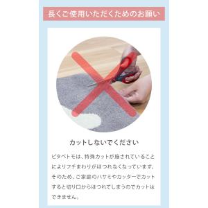 ピタペトモ 吸着マット 8枚入 45×45cm...の詳細画像1