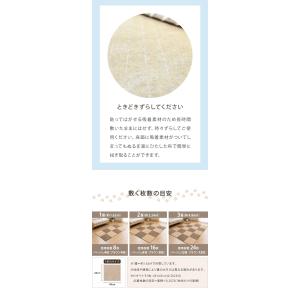 ピタペトモ 吸着マット 8枚入 45×45cm...の詳細画像2