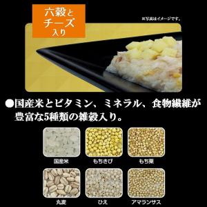 ドギーマン 紗 博多地どり 六穀とチーズ入 100gの詳細画像3