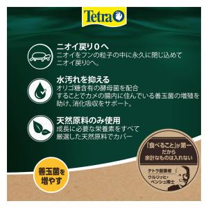 テトラ レプトミン 小粒 70gの詳細画像2