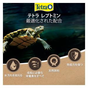テトラ レプトミン 小粒 70gの詳細画像3