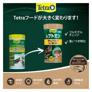 テトラ レプトミン 小粒 70gの詳細画像5