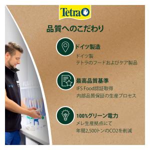 テトラ レプトミン 中粒 70gの詳細画像4