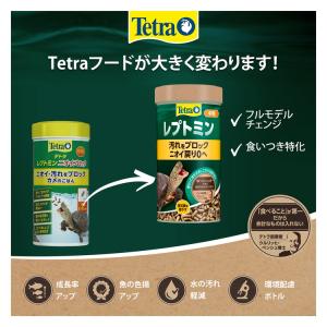 テトラ レプトミン 中粒 70gの詳細画像5