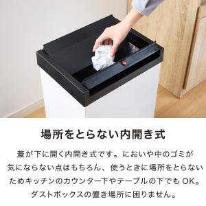 Hailo ハイロ ゴミ箱 ごみ箱 ダストボッ...の詳細画像2