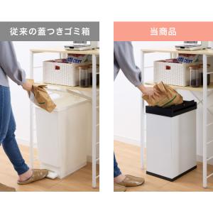 Hailo ハイロ ゴミ箱 ごみ箱 ダストボッ...の詳細画像3