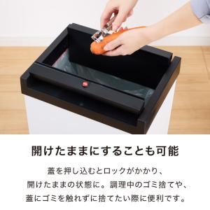 Hailo ハイロ ゴミ箱 ごみ箱 ダストボッ...の詳細画像5