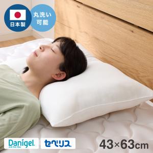 ウォッシャブル枕 43×63cm 日本製 東レ ダニゲル セベリス TORAY 東レ
